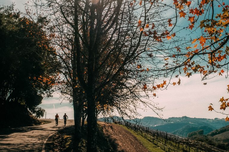 O PRIMEIRO BIKEPACKING SPINO – VALE DOS VINHEIROS E VALE DO CAÍ​