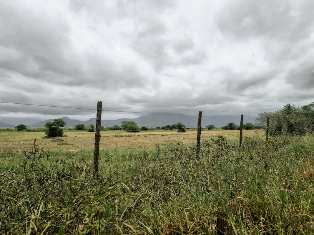vista do caminho da lagoa