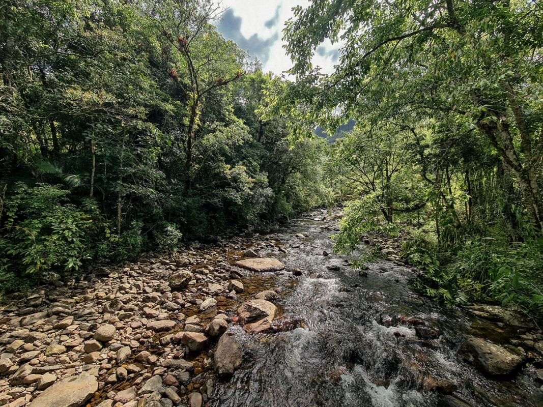 uma das várias pontes sobre o corrego da cascata