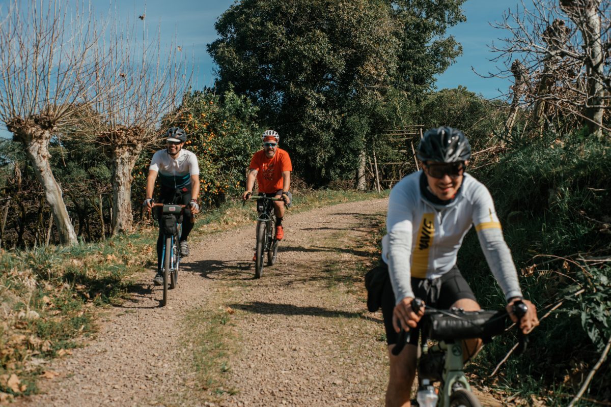 721_046_BIKEPACKING_VINHEDOS