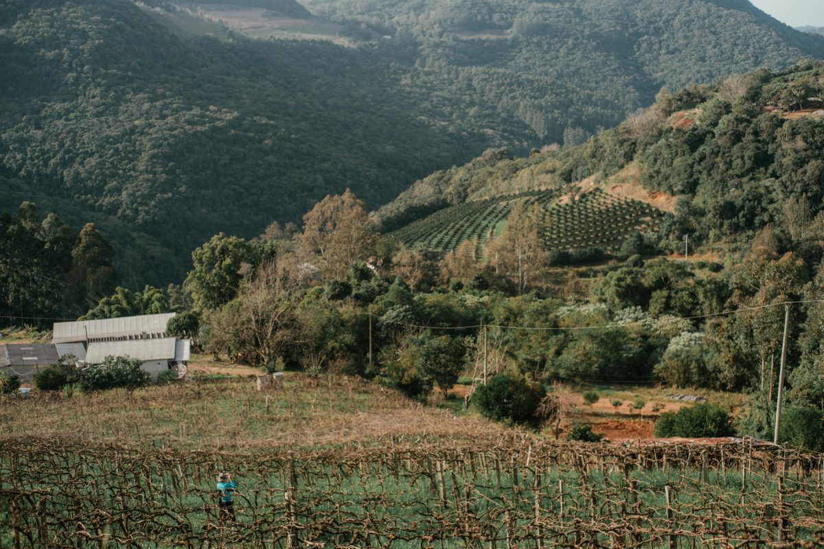 721_102_BIKEPACKING_VINHEDOS