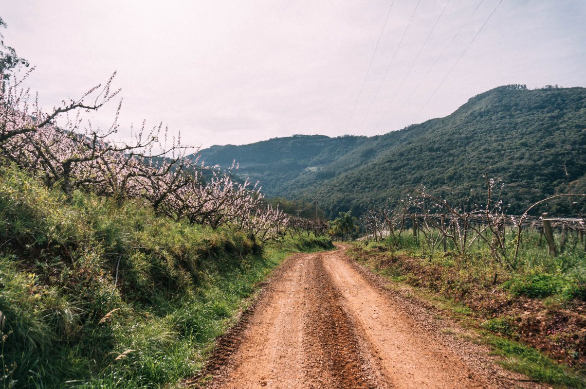 Bento_e_Farroupilha (101)