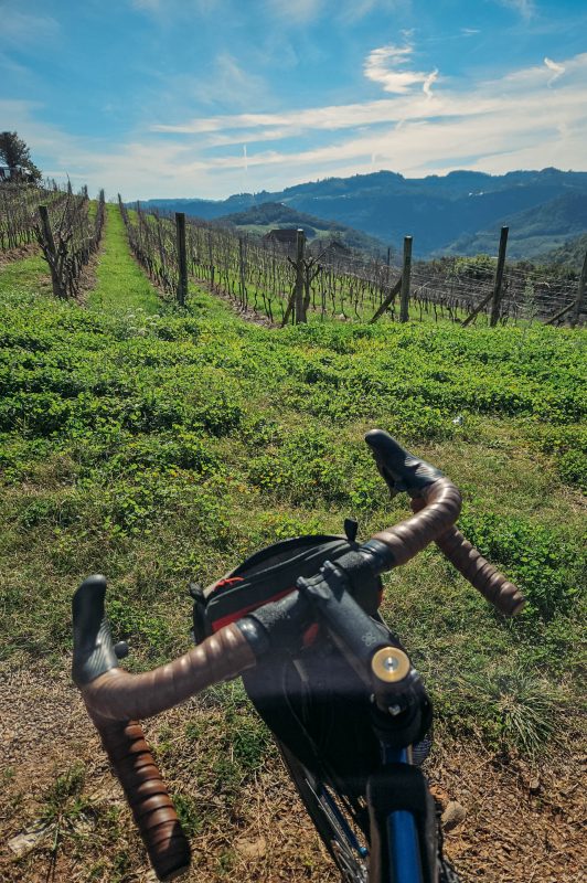 Bento_e_Farroupilha (11)