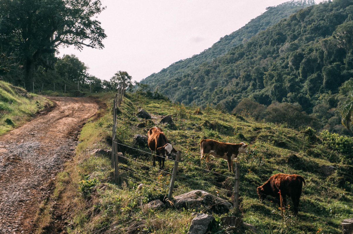 Bento_e_Farroupilha (121)