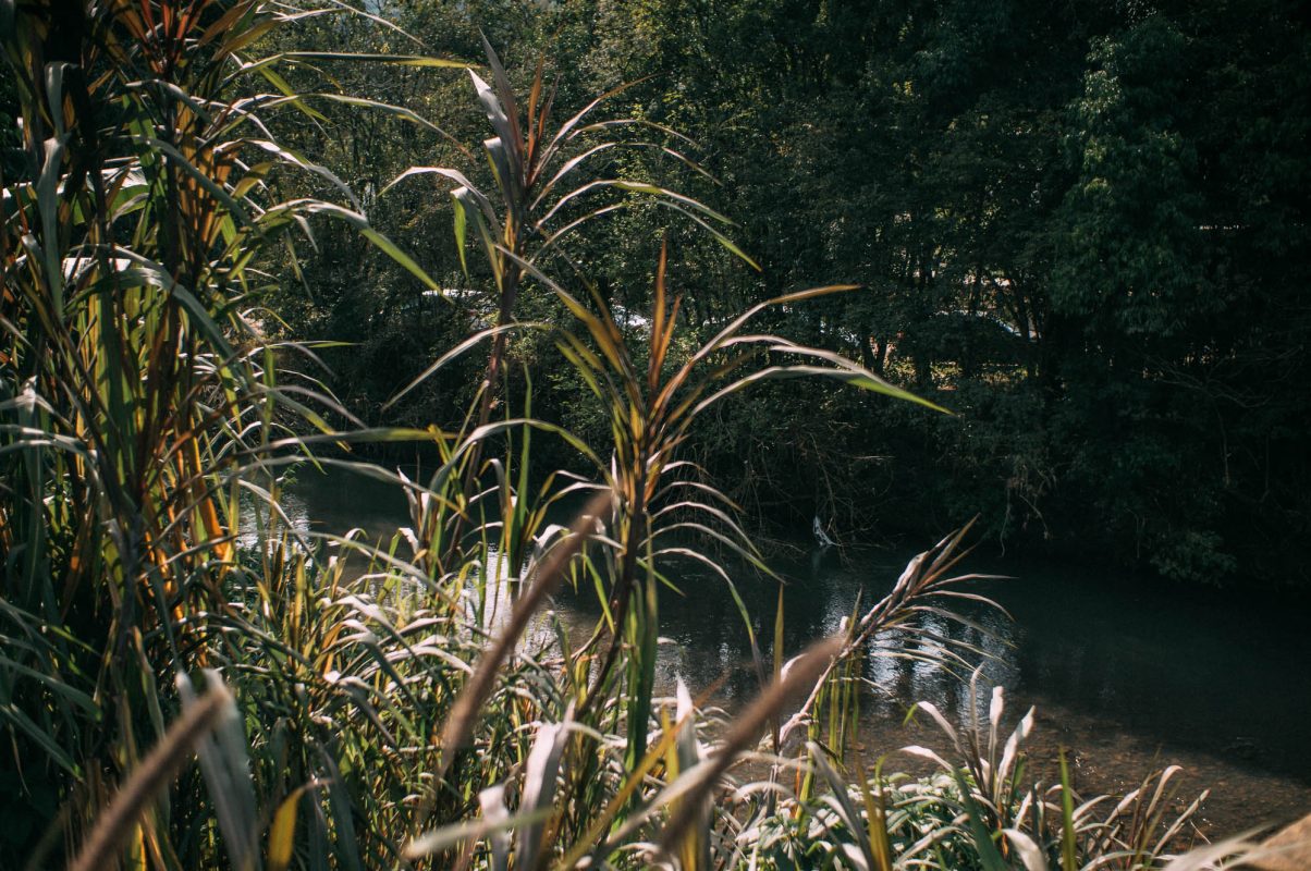 Bento_e_Farroupilha (124)