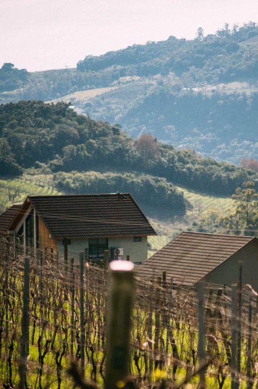 Bento_e_Farroupilha (14)