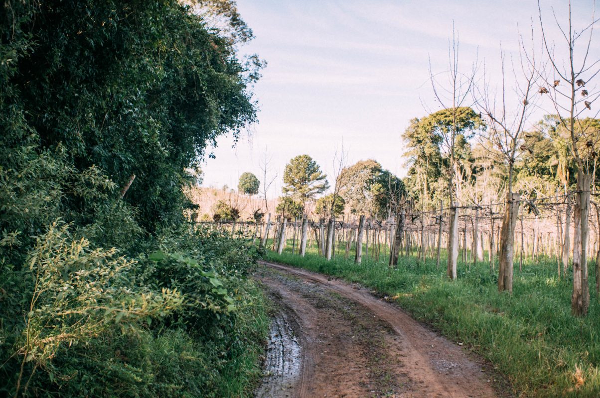 Bento_e_Farroupilha (20)