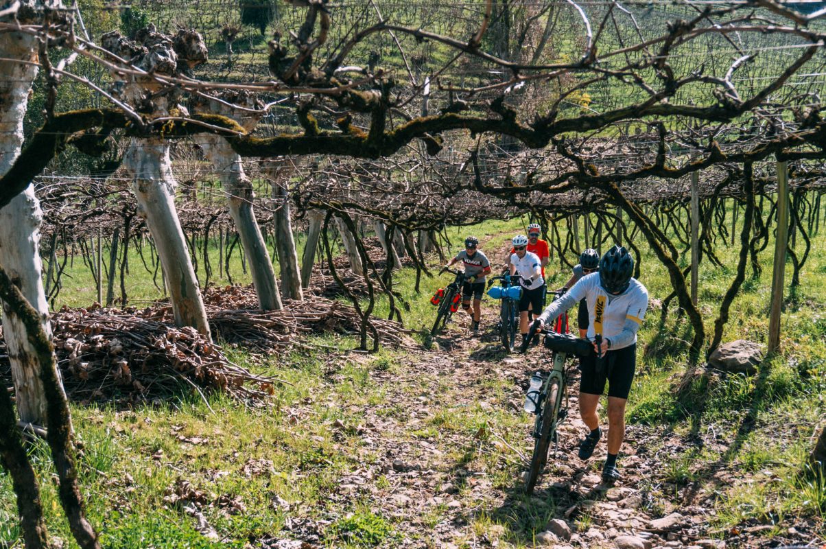 Bento_e_Farroupilha (29)