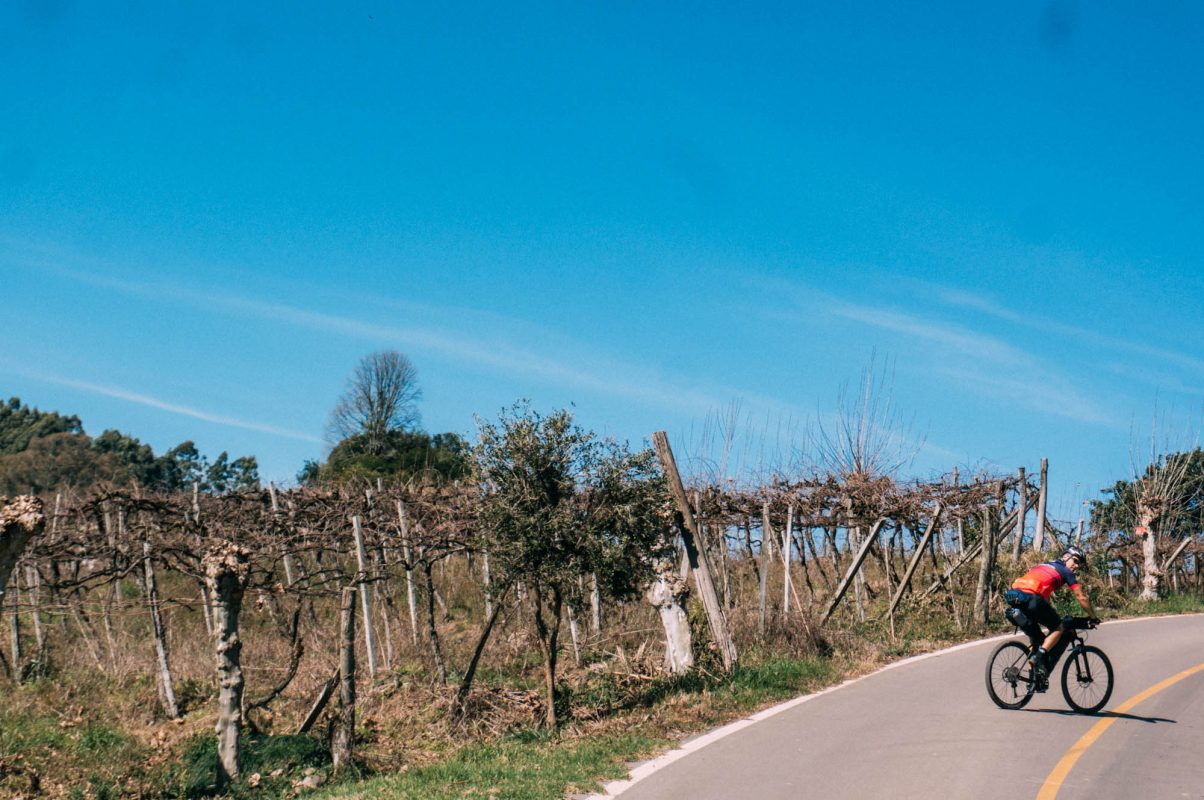 Bento_e_Farroupilha (35)