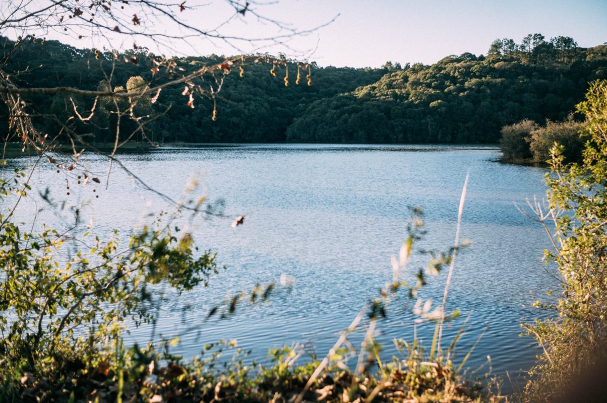 Bento_e_Farroupilha (63)