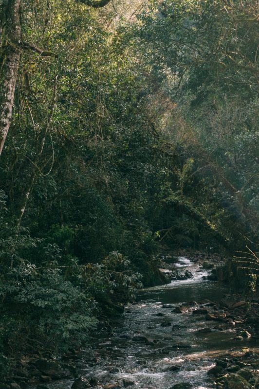 Bento_e_Farroupilha (94)