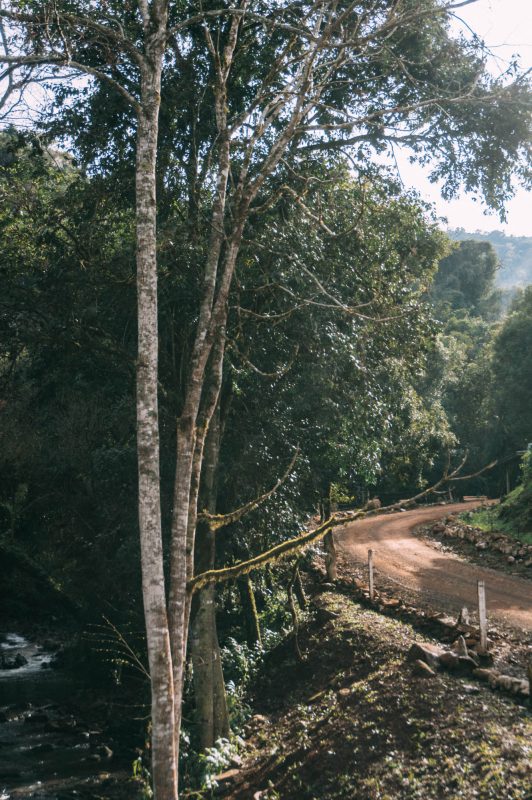 Bento_e_Farroupilha (95)