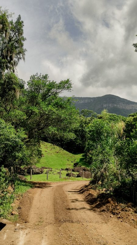 Trecho até a cascata