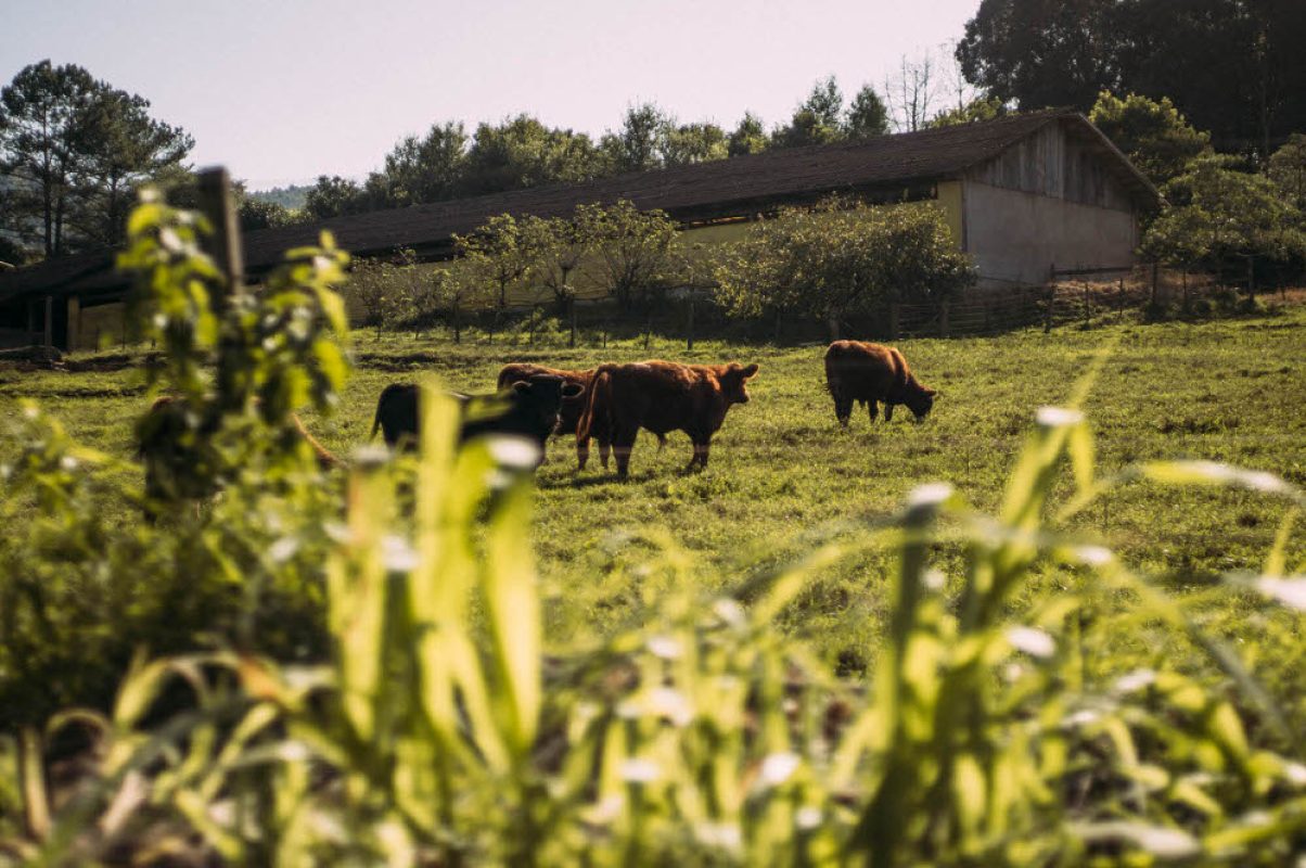 StaMariaHerval (182)