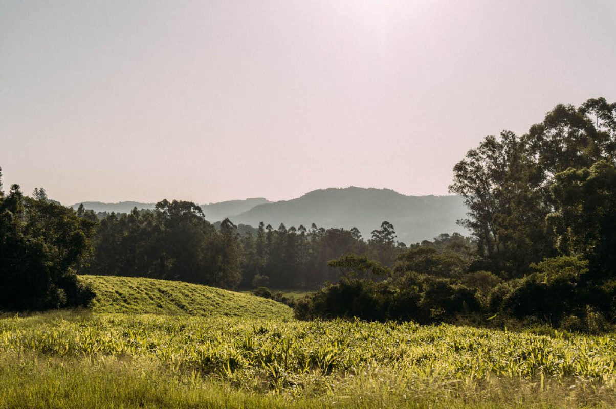 StaMariaHerval (213)