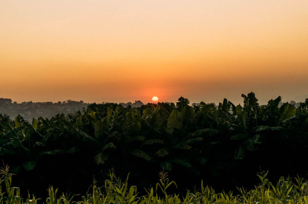 StaMariaHerval (225)